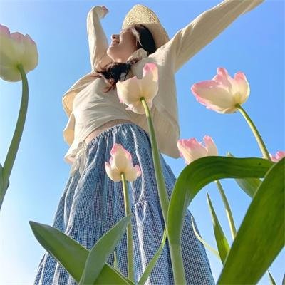 侠女传奇国语